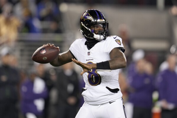 Nfl sales baltimore ravens